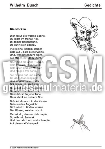 Die Mücken.pdf